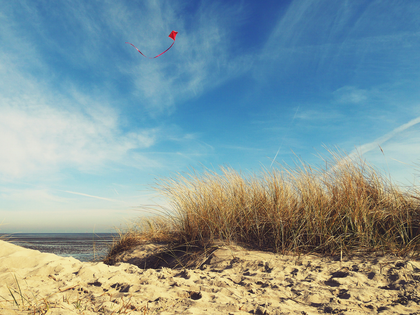 NordseeWind