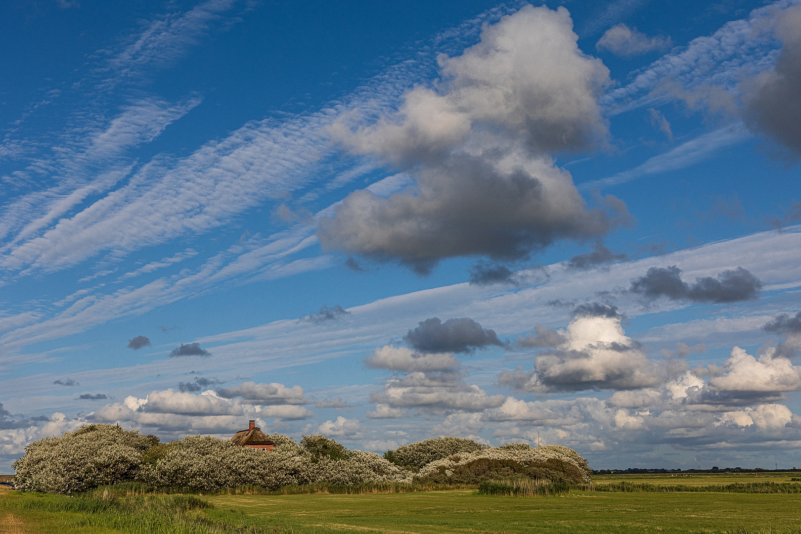 Nordseewolken