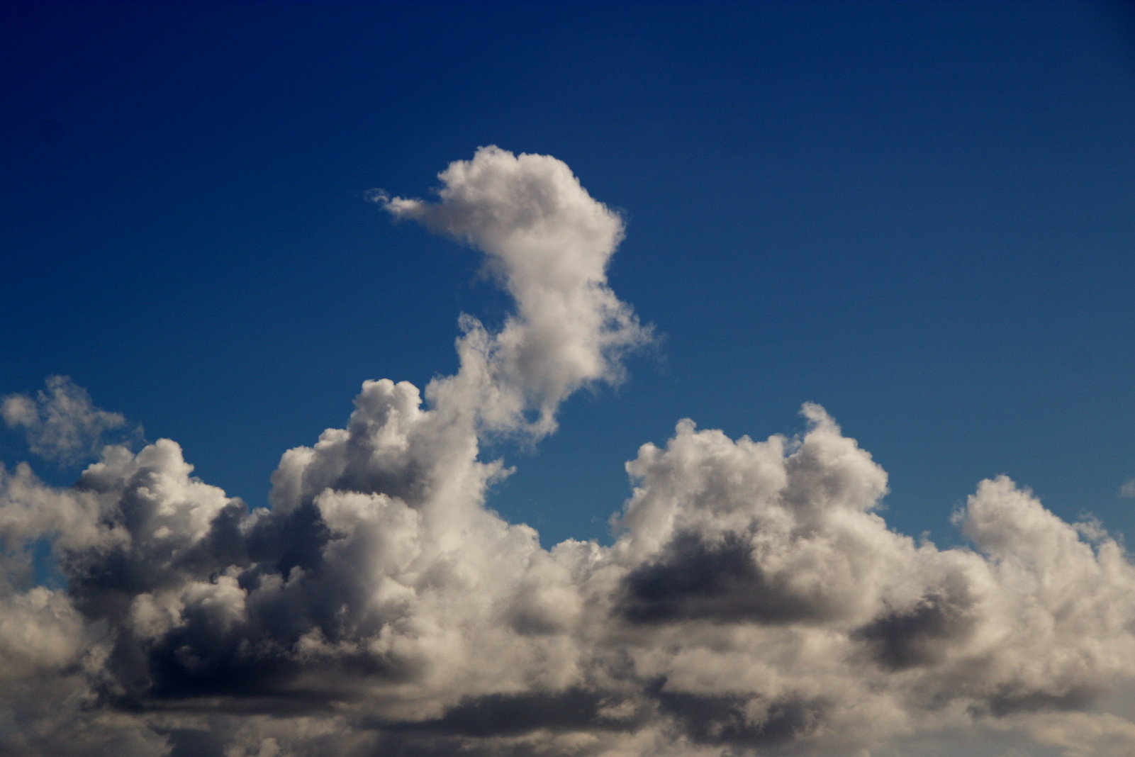 Nordseewolken in Fantasieform