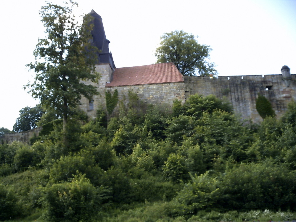 Nordseite der Burg Bentheim