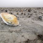 Nordspitze St. Peter-Ording