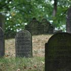 Nordstadtfriedhof Hannover