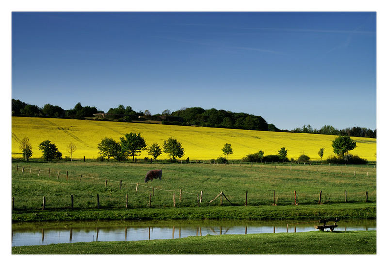 Nordsteimker Morgenruhe