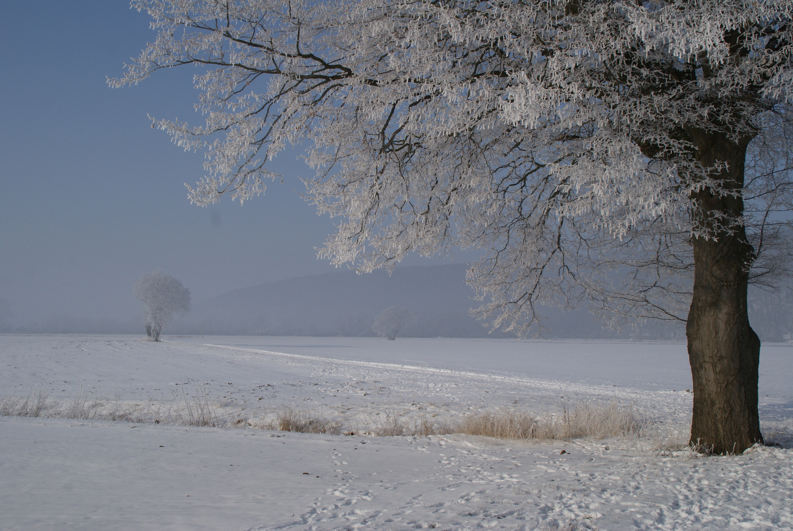 Nordstemmer Feldmark im Winter