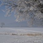 Nordstemmer Feldmark im Winter