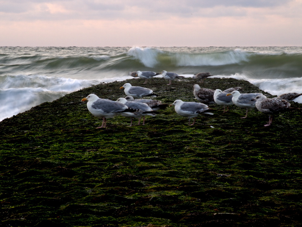 Nordstrand, Abend