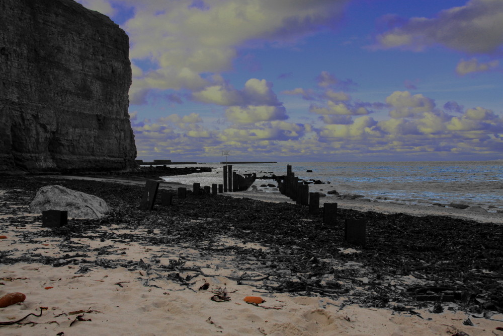 Nordstrand bei Ebbe