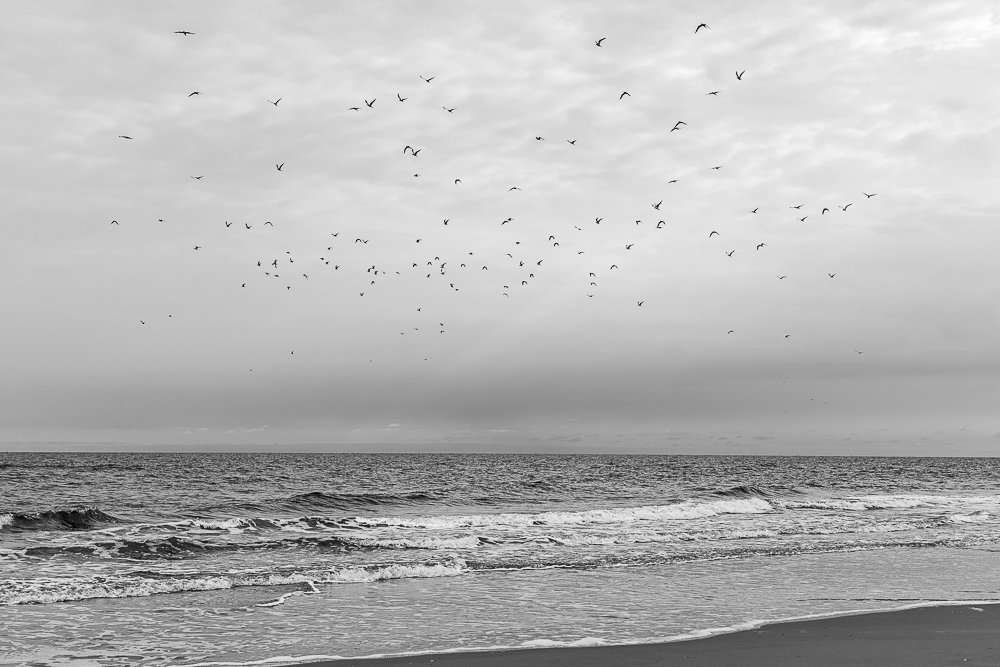 Nordstrand Borkum