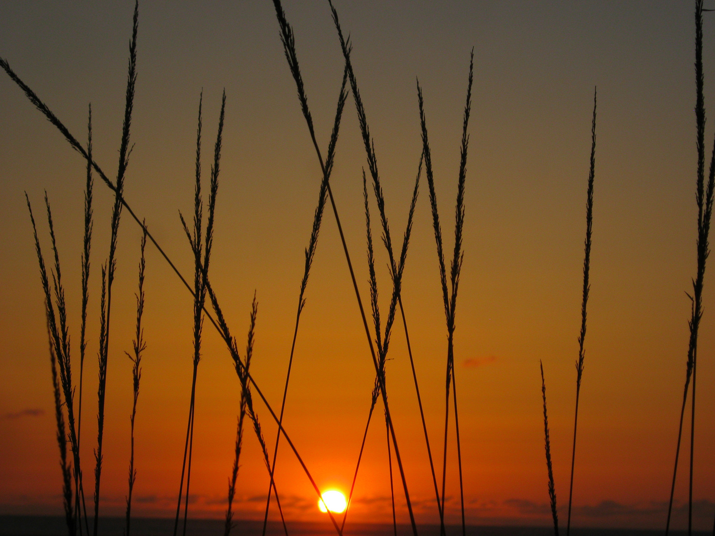 Nordstrand Borkum