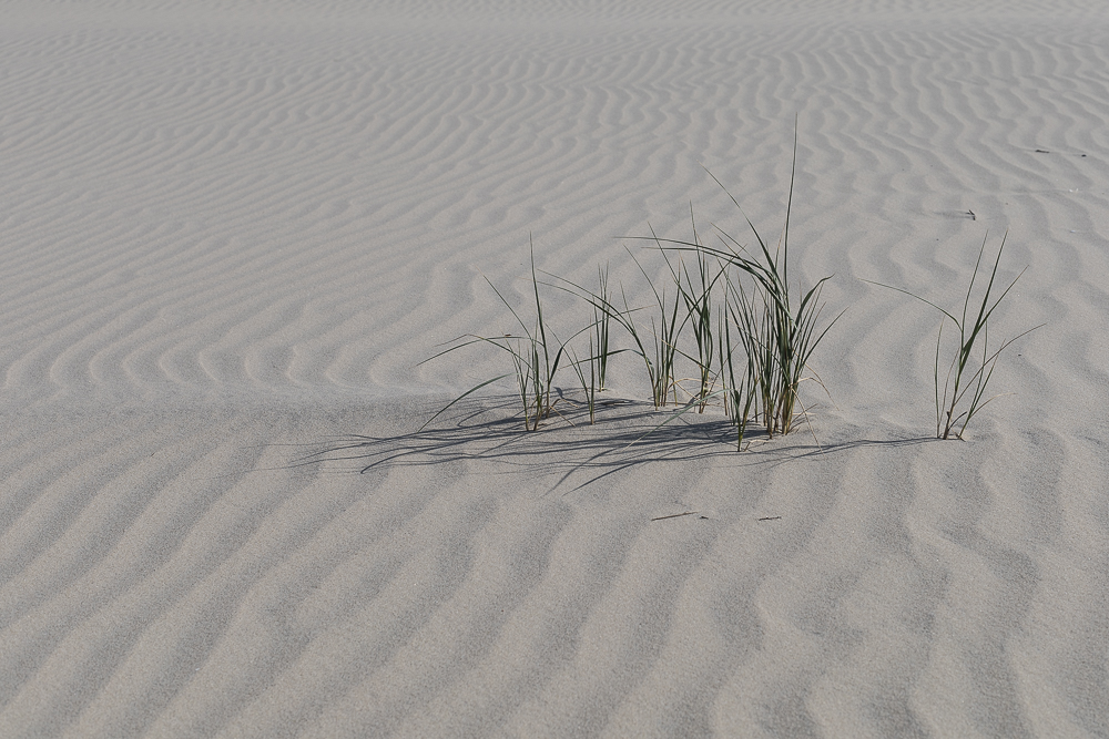 Nordstrand Borkum