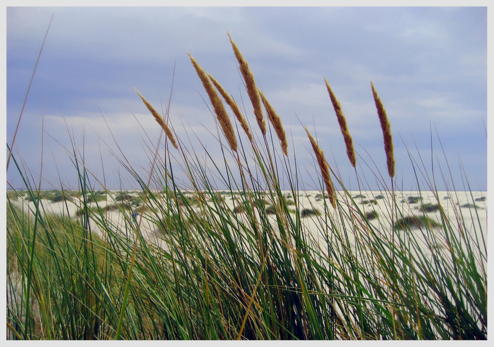 Nordstrand Idylle... von Helmut Bucher 