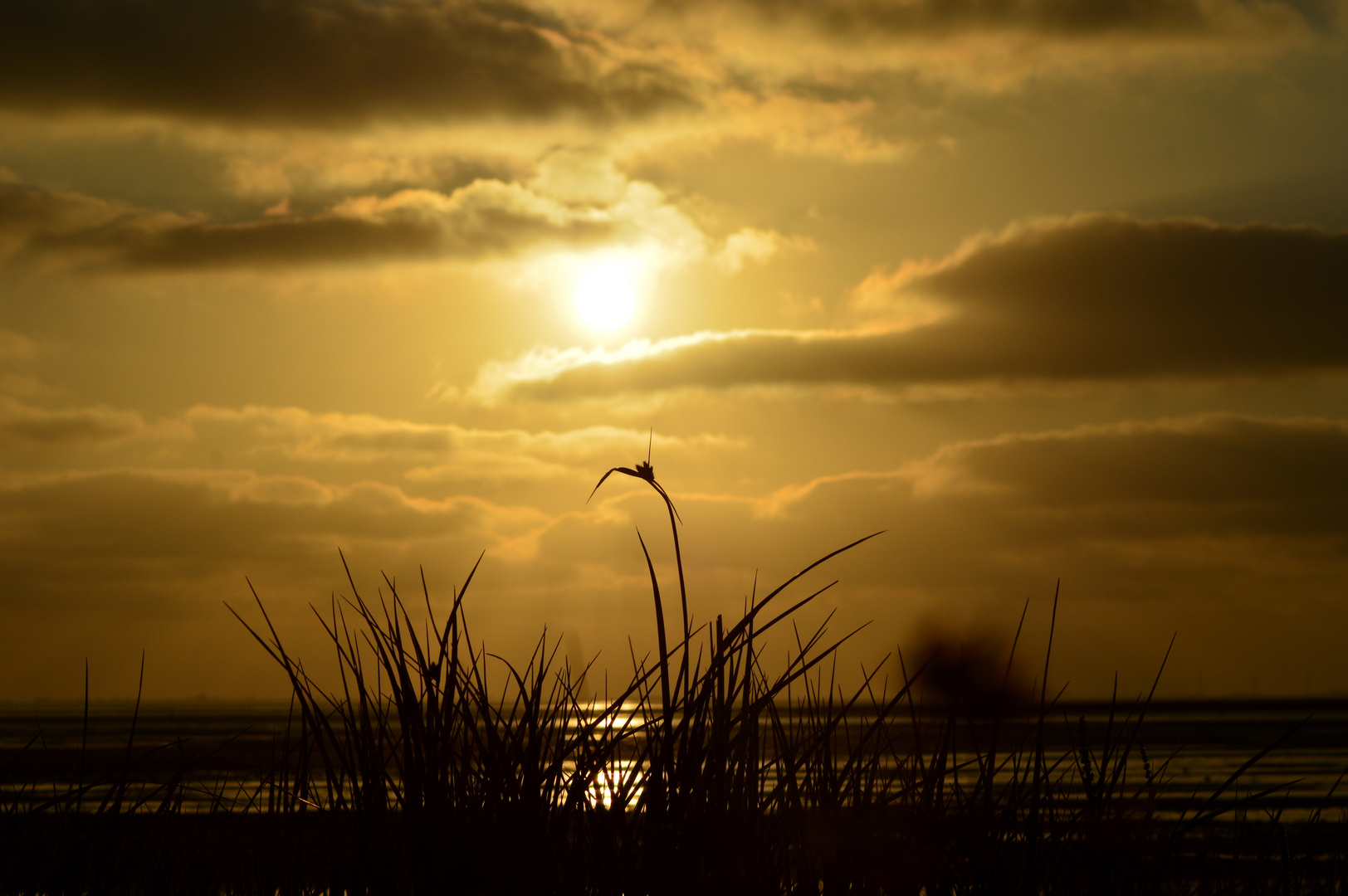 Nordstrander Sonnenuntergang