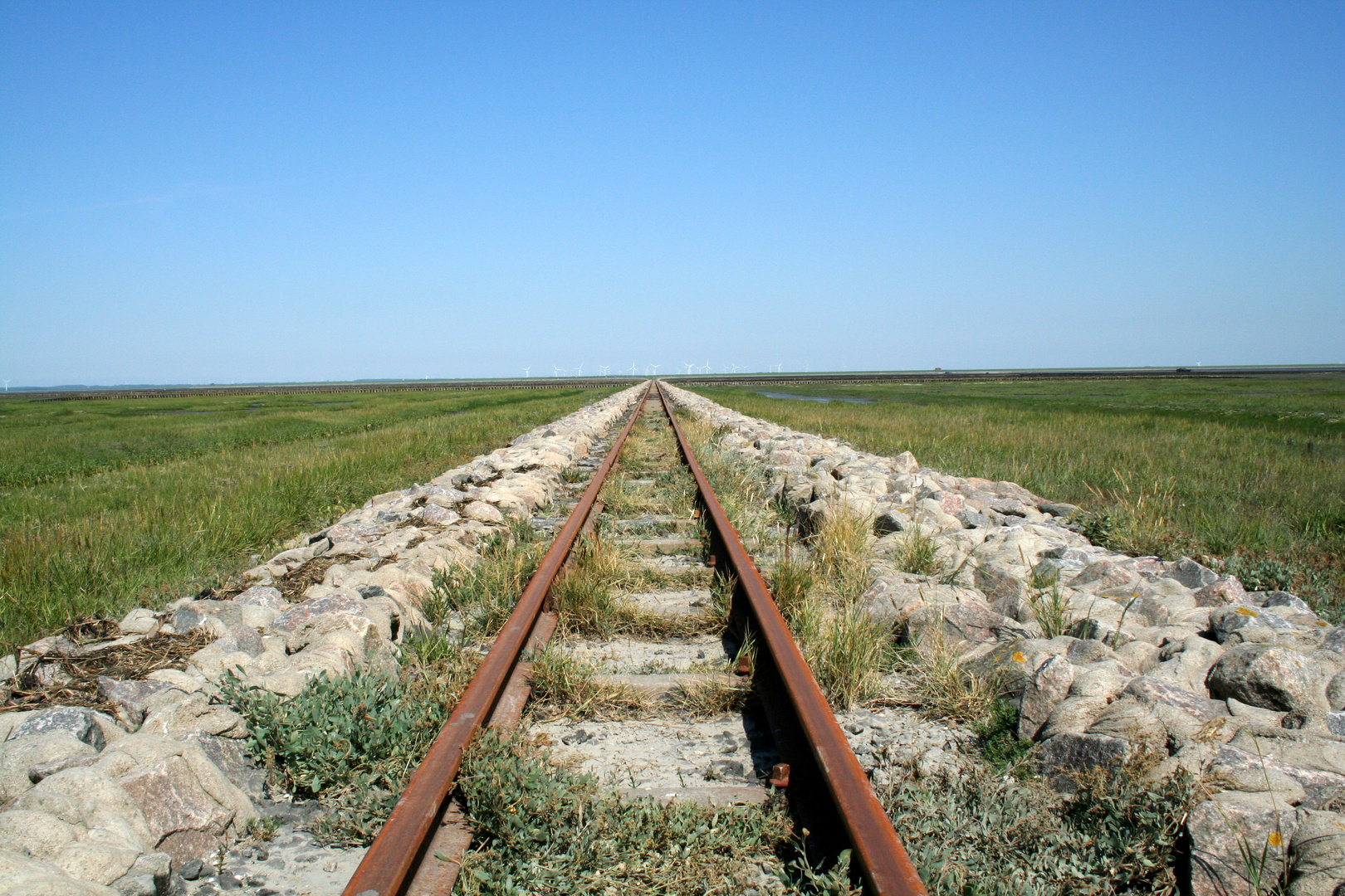 Nordstrandischmoor - 2008