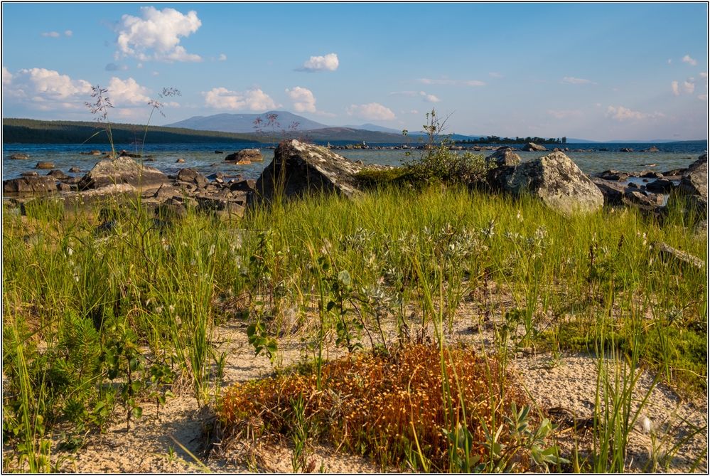 Nordvika 2018 - Bodennähe