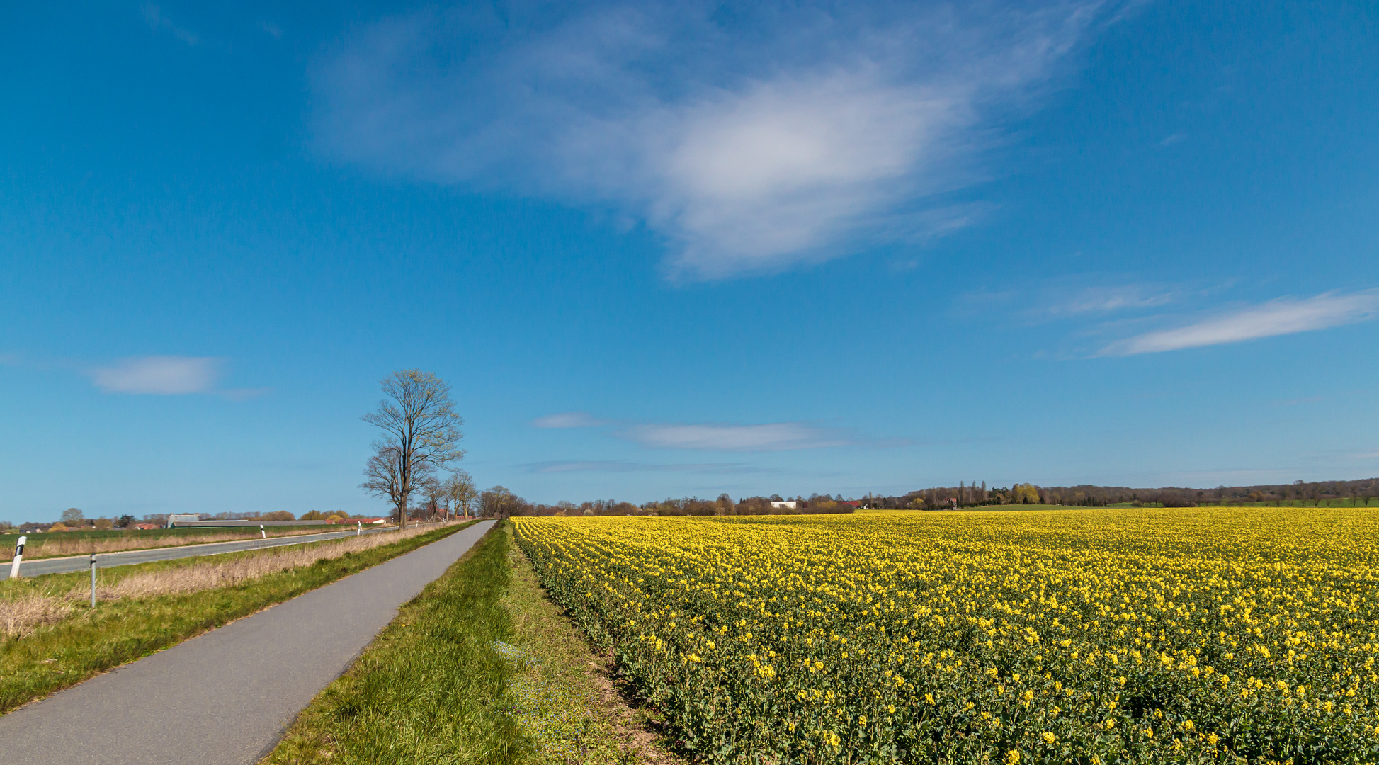 Nordwest-Mecklenburg zeigt wieder Gelb