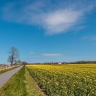 Nordwest-Mecklenburg zeigt wieder Gelb