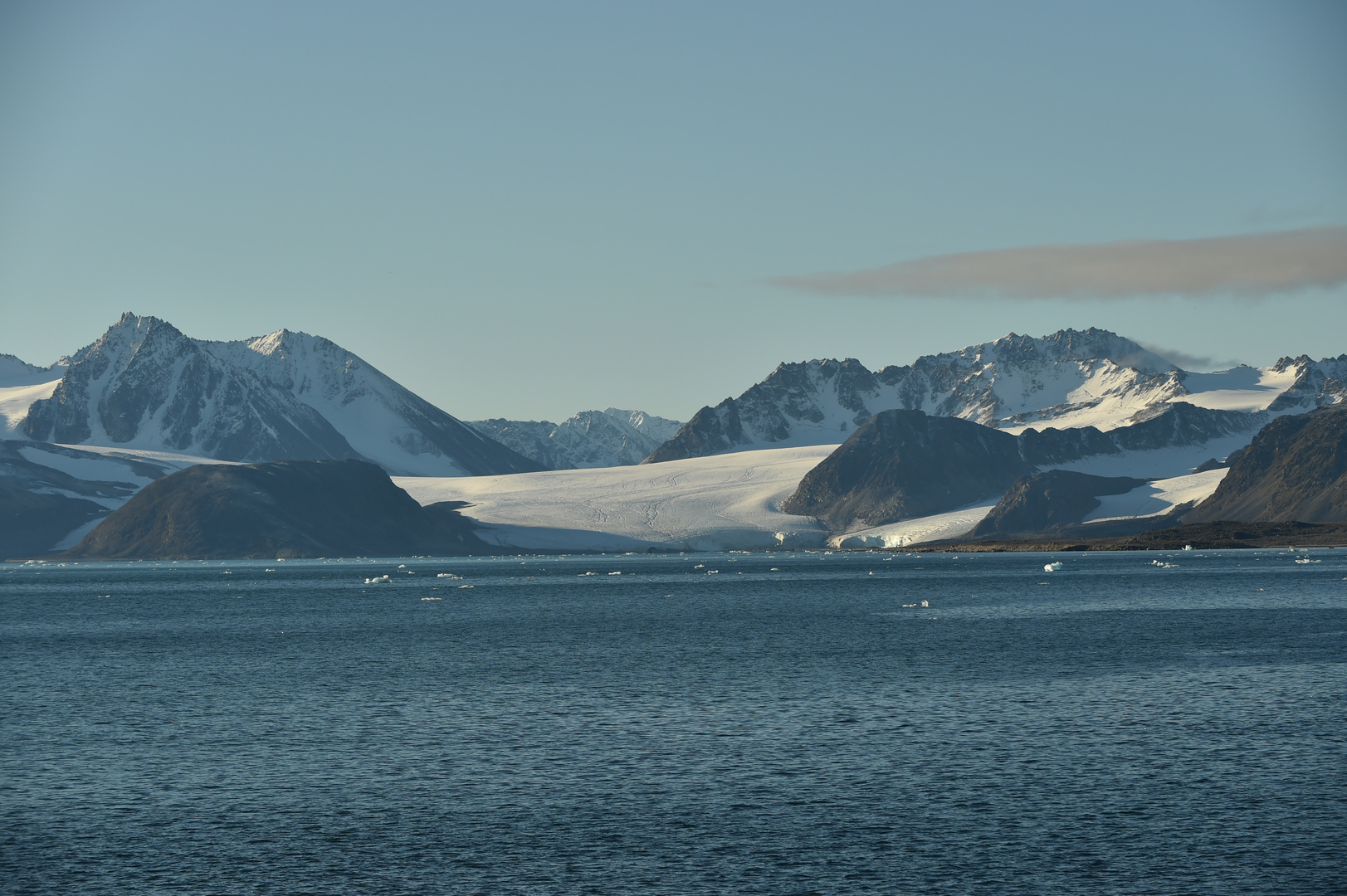 Nordwest Svalbard Nationalpark.            DSC_6437