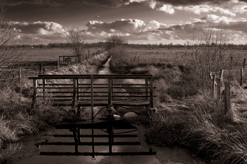 Nordwestdeutsche Moorlandschaft