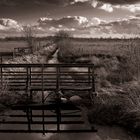 Nordwestdeutsche Moorlandschaft