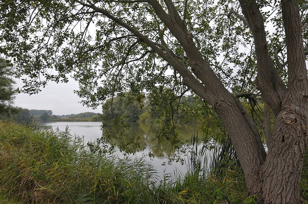 Nordwestmecklenburg: Orte der Ruhe 01