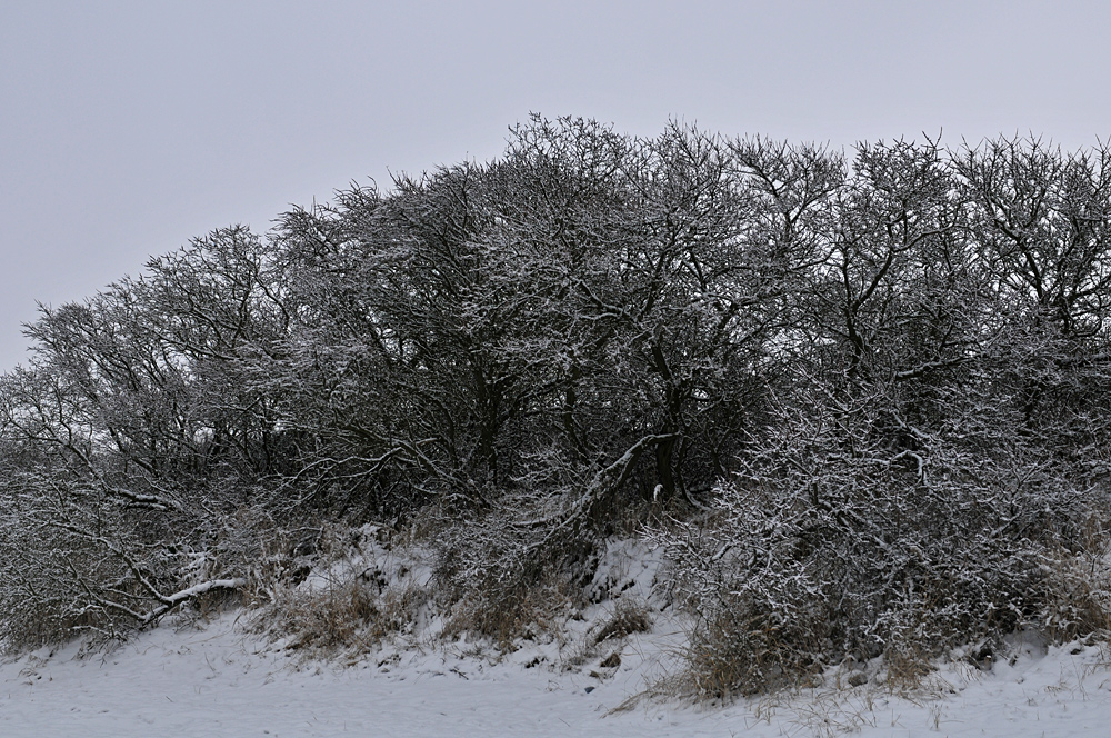 Nordwestmecklenburger Schneestrand 01