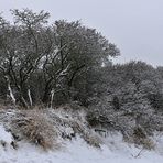 Nordwestmecklenburger Schneestrand 02