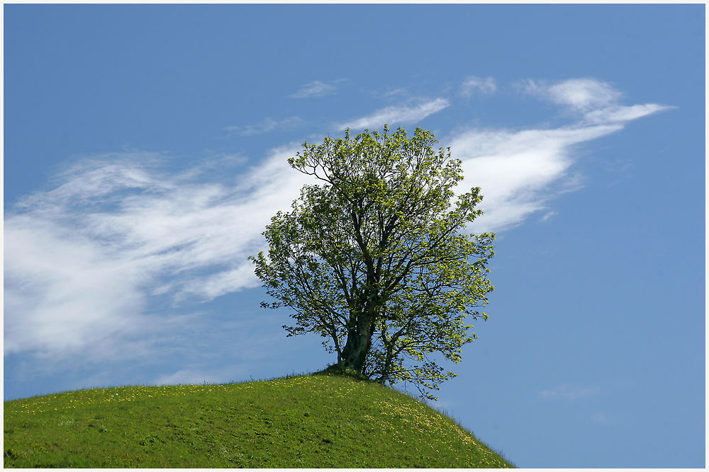 Nordwestwind von M. Weiss