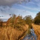 Norfolk Marshes