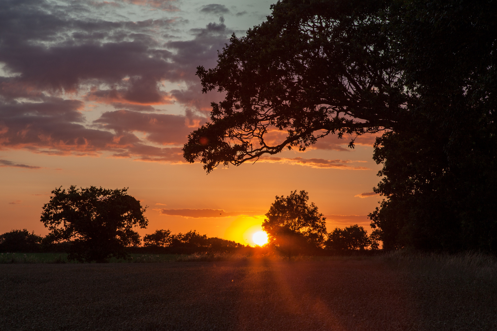 norfolksonnenuntergang