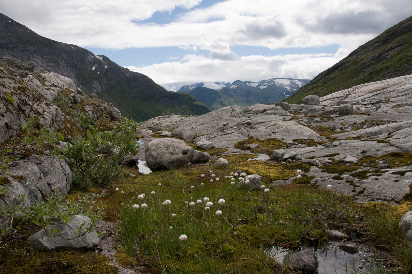 Norge 2010 - 006