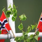 Norge 60