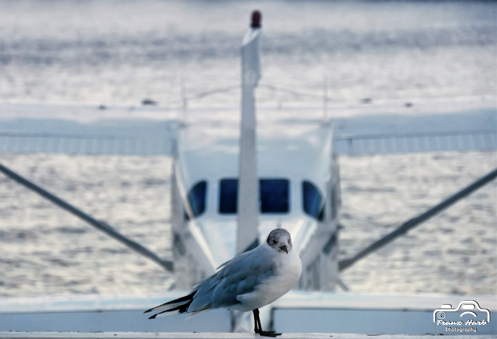 Norge, Oslo: Gull - Just before taking off! ;-)