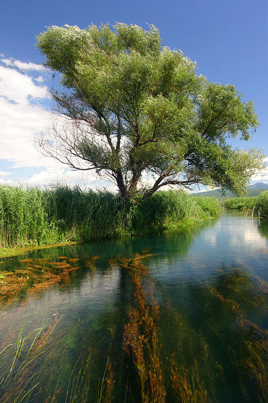 Norin-the river in Neretva Delta intact-nature system