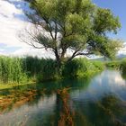 Norin-the river in Neretva Delta intact-nature system