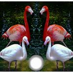 Normale Menschen bringt der Storch, besondere Menschen bringt der Flamingo # 2
