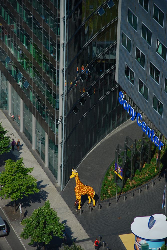 Normalement l’emblème de Berlin c'est un Ours !