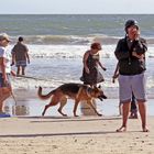 Normaler Tag am Strand in Kapstadt