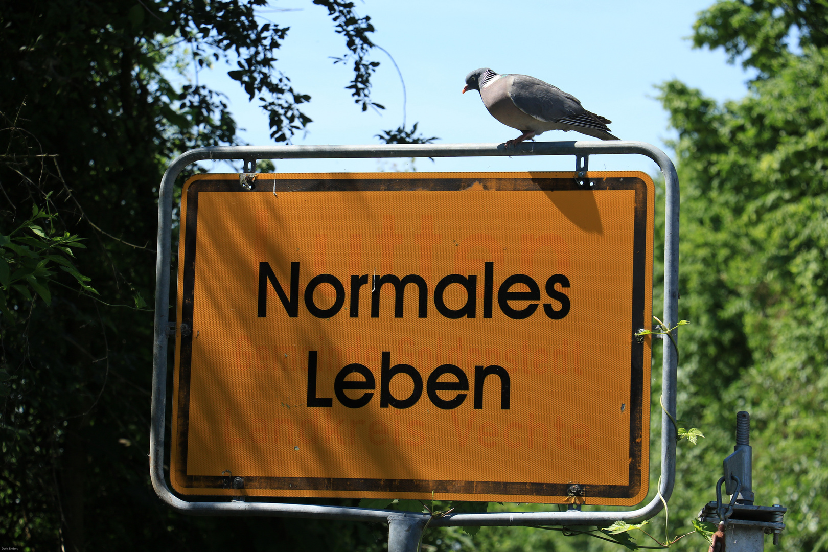 "Normales Leben"