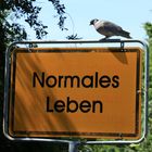 "Normales Leben"