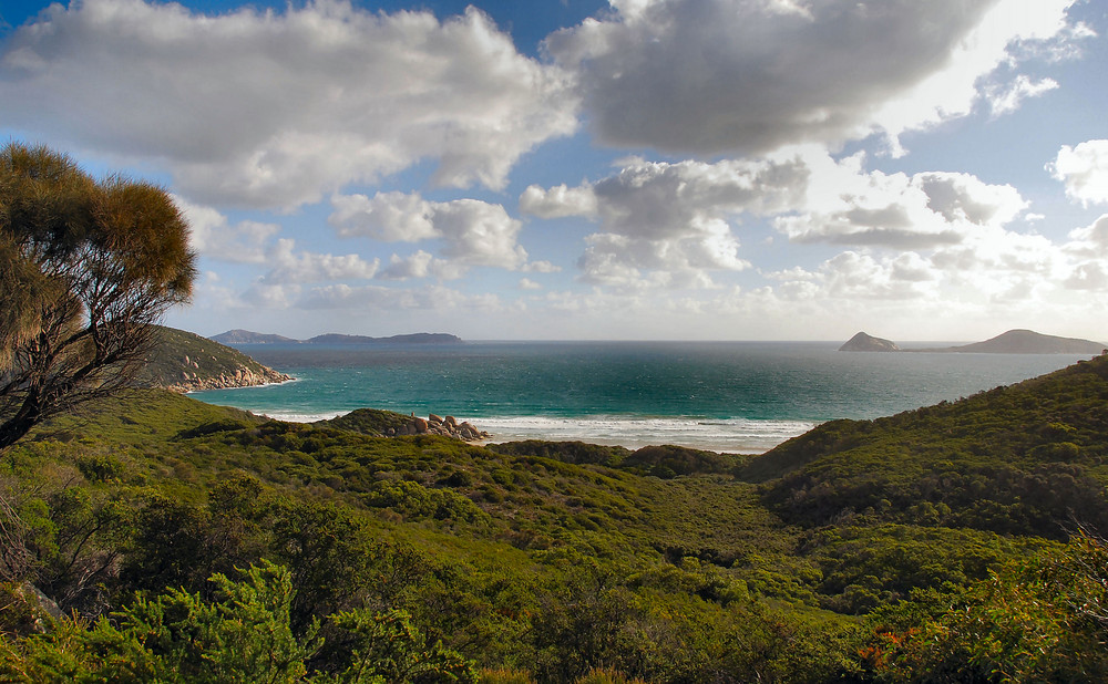 NORMAN LOOKOUT