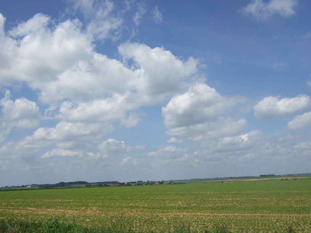 Normandie hier kommt der Neufchatel Herzkäse her