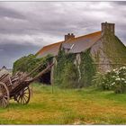 Normandie Landscape