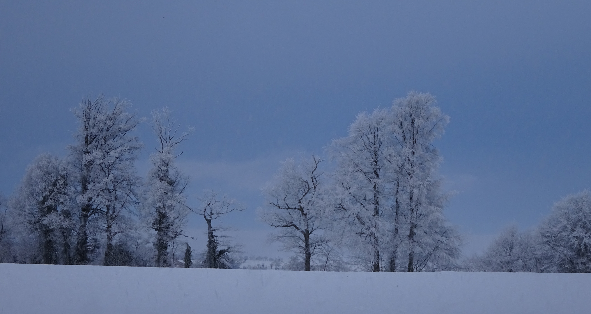 Normandie sous la neige