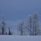 Normandie sous la neige