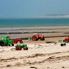 Normandy Landings