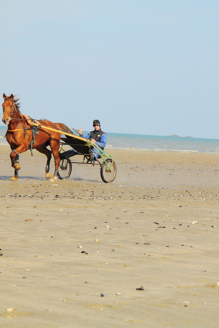 Normanisches Strandleben 2