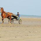 Normanisches Strandleben 2