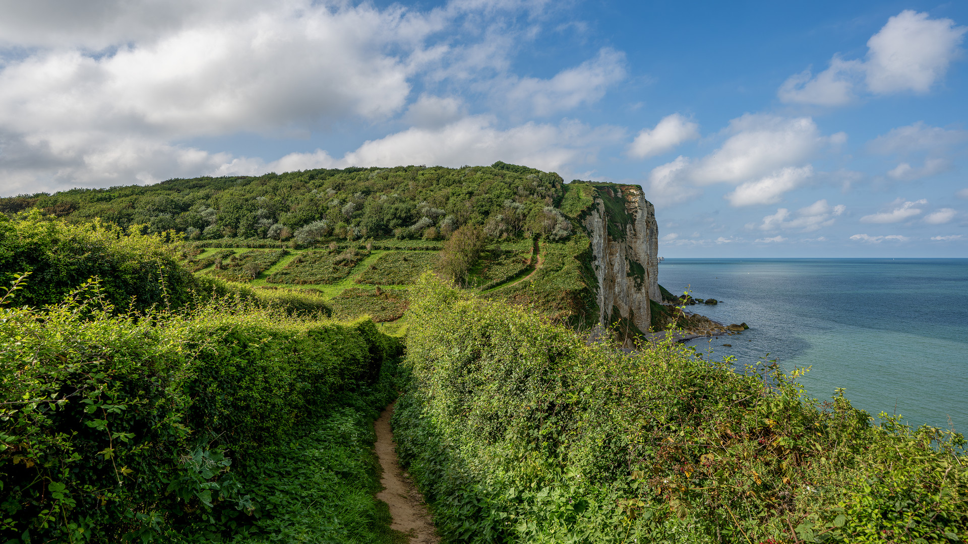 Normannische Küstenwanderung 13