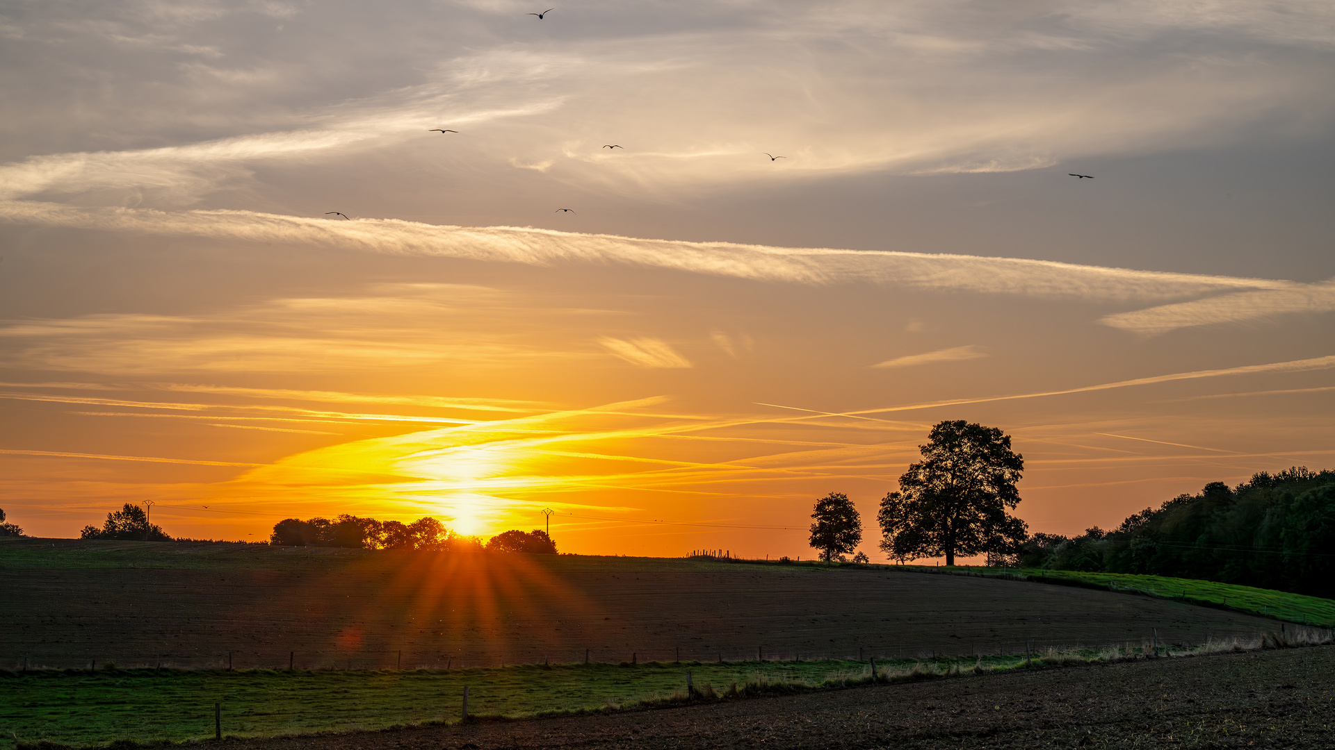 Normannisches Morgenlicht 01