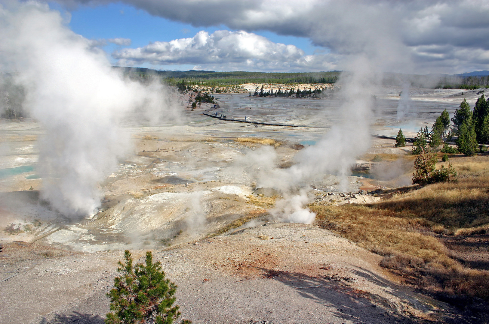 "Norris Geyser Basin"